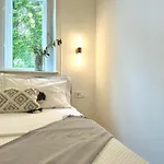 Buda Retreat - Modern 2Br